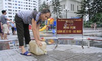 Người Hà Nội đổ bỏ nước miễn phí vì có mùi lạ