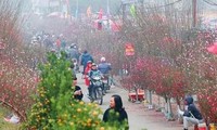 Hà Nội có 78 điểm tổ chức chợ hoa xuân