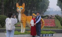 Hà Nội: Vì sao có mô hình mèo lạ ở Công viên Thống nhất? 