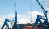 Vì sao ĐBSCL phải phụ thuộc vào cảng biển TP HCM, Bà Rịa - Vũng Tàu?