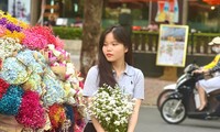 Những bó cúc hoạ mi &apos;sống sót&apos; sau mưa lũ khoe sắc giữa phố phường Thủ đô