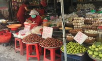Mận hậu Việt Nam, giá từ 80.000-100.000 đồng/kg