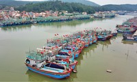 11 tỉnh miền Trung &apos;bắt tay&apos; quản lý tàu cá, truy xuất nguồn gốc hải sản
