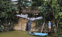 Sống thấp thỏm bên bờ sông sạt lở nghiêm trọng nhiều năm ở Hà Tĩnh