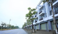 Nhiều địa phương ở Hà Tĩnh bị yêu cầu rà soát các dự án trồng cây xanh 