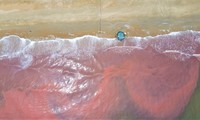 Nước biển ở Hà Tĩnh xuất hiện vệt đỏ lạ dài 3 km
