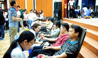 Dòng người xếp hàng hiến máu trong chương trình Chủ nhật Đỏ tại Thái Bình