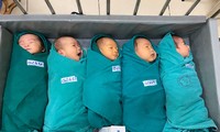 5 em bé chào đời ở Bệnh viện Bạch Mai. Ảnh: FBBV