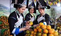 Tuần lễ quýt ngọt biên giới Mường Khương tại Hà Nội