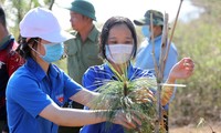 Tiền Phong Marathon 2021 chung tay vì một Việt Nam xanh
