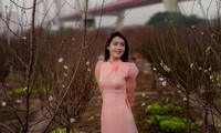 Thướt tha tà áo dài Tết &apos;check in&apos; vườn đào Nhật Tân 