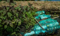 Độc đáo &apos;trang trại&apos; rau sạch trên bè làm từ rác thải nhựa