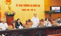 Chủ tịch Quốc hội Nguyễn Sinh Hùng phát biểu tại phiên họp thứ 30. Ảnh: Phan Sáng