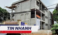 TIN NHANH: Nguyên nhân vụ rơi thang máy làm 3 người tử vong; Euro 2024 lộ diện nhánh đấu &apos;tử thần&apos;