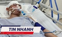 TIN NHANH: Vụ đánh nam sinh lớp 8 chết não: Vì sao bố bị cáo không là đồng phạm?