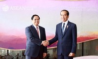 Việt Nam thúc đẩy hơn nữa quan hệ đối tác chiến lược với Indonesia