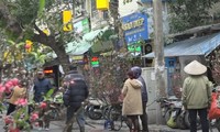 Chợ hoa Hà Nội hút khách mua sắm dịp cận Tết