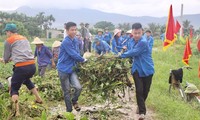 Gần 300 đoàn viên, thanh niên đồng loạt ra quân &apos;triệt hạ&apos; bèo tây