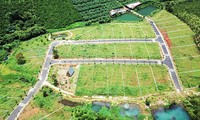 Phân lô đồi chè rộng lớn ở Bảo Lộc