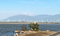 Cánh đồng điện gió lớn nhất Việt Nam