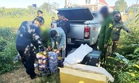Tạm giam 2 đối tượng chở gần 700kg pháo nổ từ biên giới về Lâm Đồng