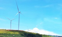 Buộc Điện gió Cầu Đất nộp gần 1,4 tỷ đồng tiền phạt, thu lợi bất hợp pháp