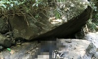 Phát hiện thi thể nam giới giữa rừng sâu đèo Bảo Lộc