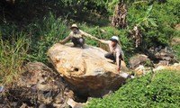  Yêu cầu tạm dừng cấp vật liệu nổ cho mỏ đá Thái Sơn 