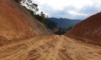 Dự án đường Trường Sơn Đông tiếp tục hủy hoại rừng ở Lâm Đồng