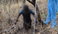 Kinh hoàng: Cùng nhân tình giết hại chồng, tạo hiện trường giả vụ treo cổ trong rừng