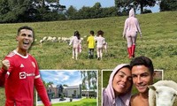 Ronaldo buộc phải chuyển nhà mới ở Anh vì...sợ đàn cừu