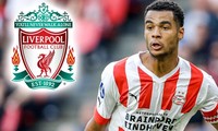 MU &apos;vồ hụt&apos; Cody Gakpo, bị Liverpool nẫng tay trên 