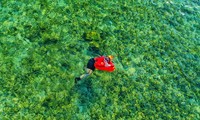 Giải bơi vượt biển đảo Lý Sơn trước giờ G: Choáng trước vẻ đẹp mê hoặc của mặt biển gắn cờ Tổ quốc