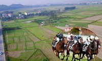 Theo đại diện UBND thành phố Hà Nội, 100ha đất tại xã Tân Minh, huyện Sóc Sơn sẽ được đầu tư xây dựng dự án trường đua ngựa với vốn hơn 400 triệu USD.