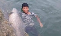 Ngư dân hồ Thác Bà bắt được cá trắm đen “khủng” 42kg