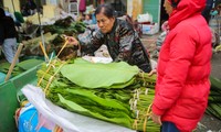 Chợ lá dong lâu đời nhất Thủ đô nhộn nhịp ngày giáp Tết