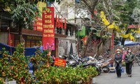 Ghé thăm chợ hoa cổ nhất Hà Nội giữa mùa dịch COVID-19