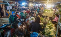 Chợ hoa lớn nhất Hà Nội tấp nập trước ngày 20/10