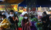 Chen chân ở chợ hoa đêm Quảng An ngày cận Tết