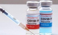 Việt Nam nhận thêm 250.800 liều vắc xin AstraZeneca và Moderna