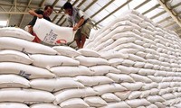 Đề xuất cấp gần 10.000 tấn gạo hỗ trợ người dân thiếu đói dịp Tết tại 7 tỉnh