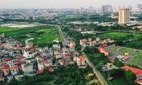 Nhiều khu đất sau đấu giá tại Đông Anh, Hà Nội bị bỏ hoang nhiều năm