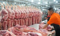 Theo nghiên cứu của Ipsos Strategy 3, người Việt đang có xu hướng chuyển từ ăn thịt lợn sang thịt gà, bò... Ảnh: Dương Hưng