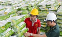 Giá gạo Việt vượt Thái Lan đứng số 1 thế giới 
