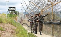 Khu phi quân sự giữa Triều Tiên và Hàn Quốc. (Ảnh: Reuters)