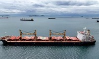 Một con tàu chở ngũ cốc Ukraine trên Biển Đen ngày 2/11/2022. (Ảnh: Reuters)