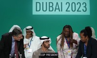 Cuộc đàm phán về khí hậu của Liên Hợp quốc COP 28 đang diễn ra tại Dubai. (Ảnh: AP)