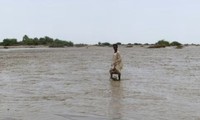 Một người lội giữa bãi bùn ở Port Sudan ngày 26/8. (Ảnh: Reuters)