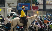 Xử phạt người đàn ông cưỡi ngựa trắng dạo phố ở TPHCM ngày Tình nhân
