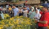 Ho Chi Minh City spent more than 600 million VND to buy 9,000 Tet flower pots to 'rescue' small businesses